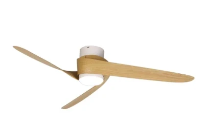 9067